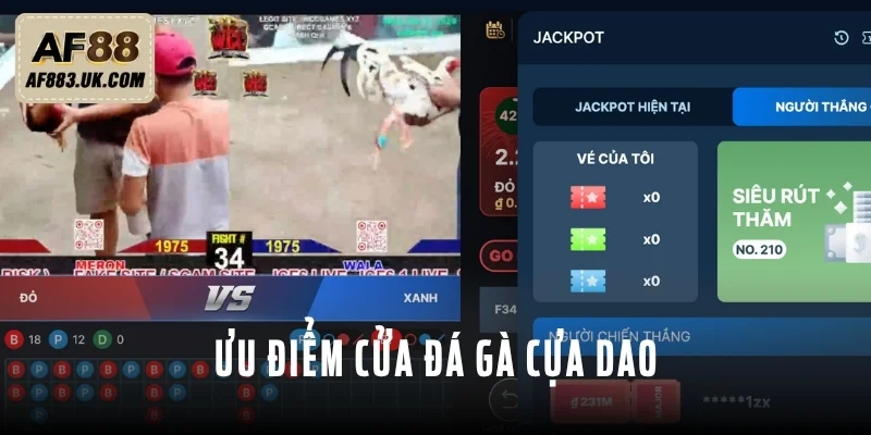 3 ưu điểm nổi trội nhất của chọi kê cựa dao