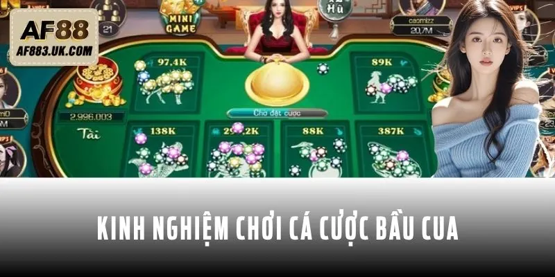 Tổng hợp vài kinh nghiệm chơi cá cược Bầu cua