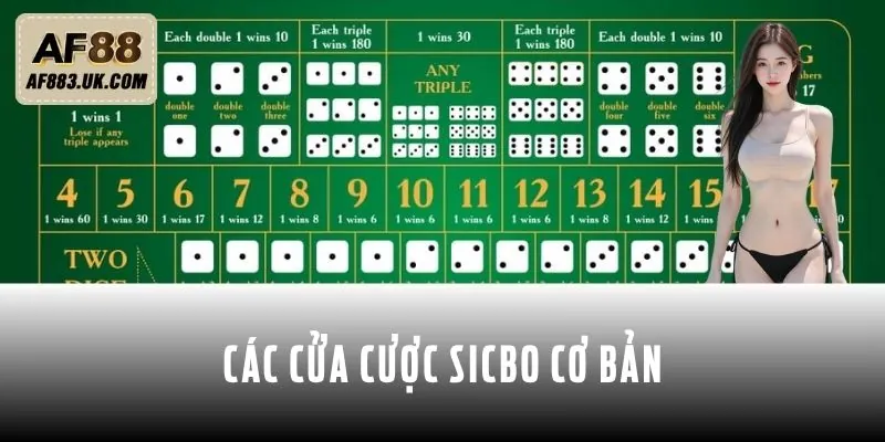 Các cửa cược Sicbo cơ bản