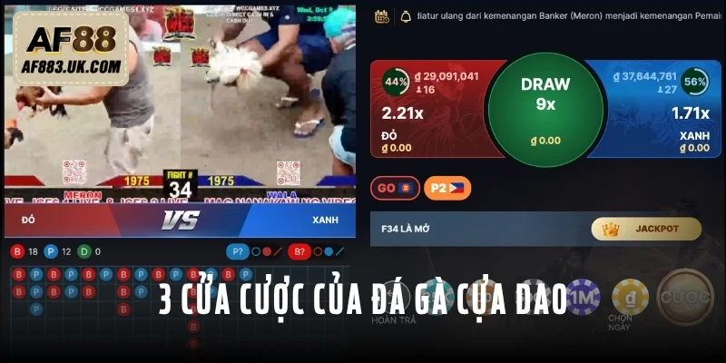 Có 3 cửa cược trong loại hình đá gà cựa dao