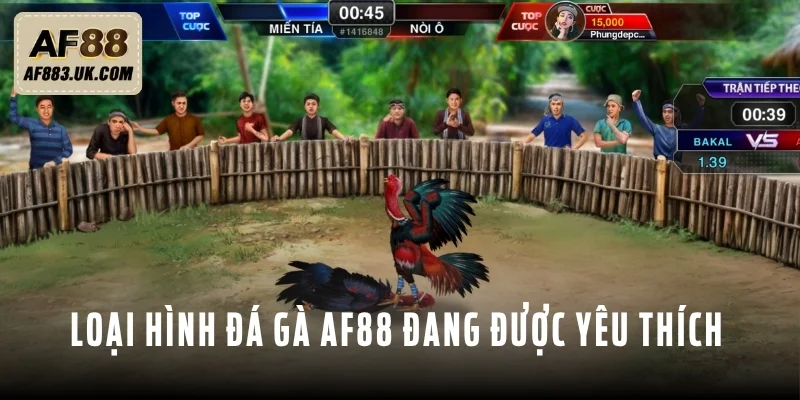 Giới thiệu 3 loại hình đá gà AF88 đang được ưa chuộng