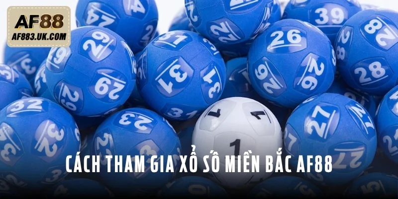 Người mới có thể dự thưởng xổ số miền Bắc AF88 với vài bước Người mới có thể dự thưởng xổ số miền Bắc AF88 với vài bước