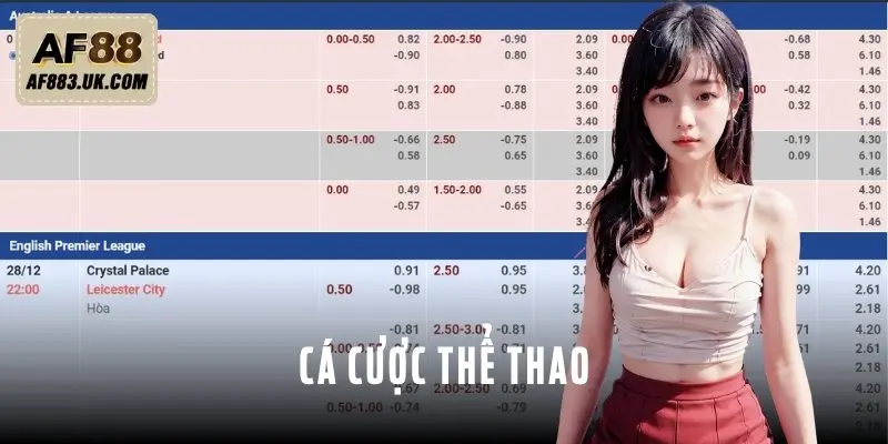 Sảnh cược hấp dẫn cho tín đồ cá độ thể thao