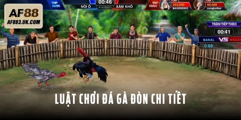 Tìm hiểu luật chơi đá gà đòn chính xác, chi tiết