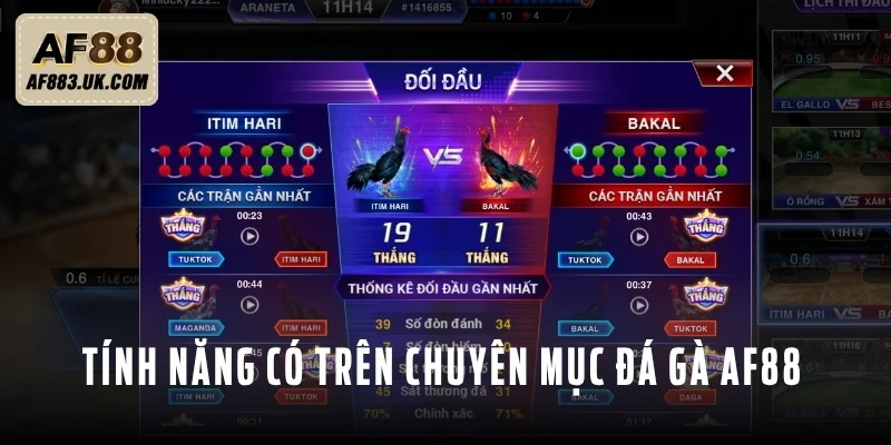 Tính năng đang được tích hợp trên chuyên mục đá gà
