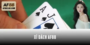 Chơi Xì Dách AF88 - Làm Chủ Bài, Hốt Trọn Phần Thưởng